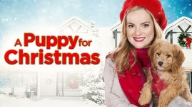 a-puppy-for-christmas