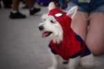 Spider Dog (Gamespot)